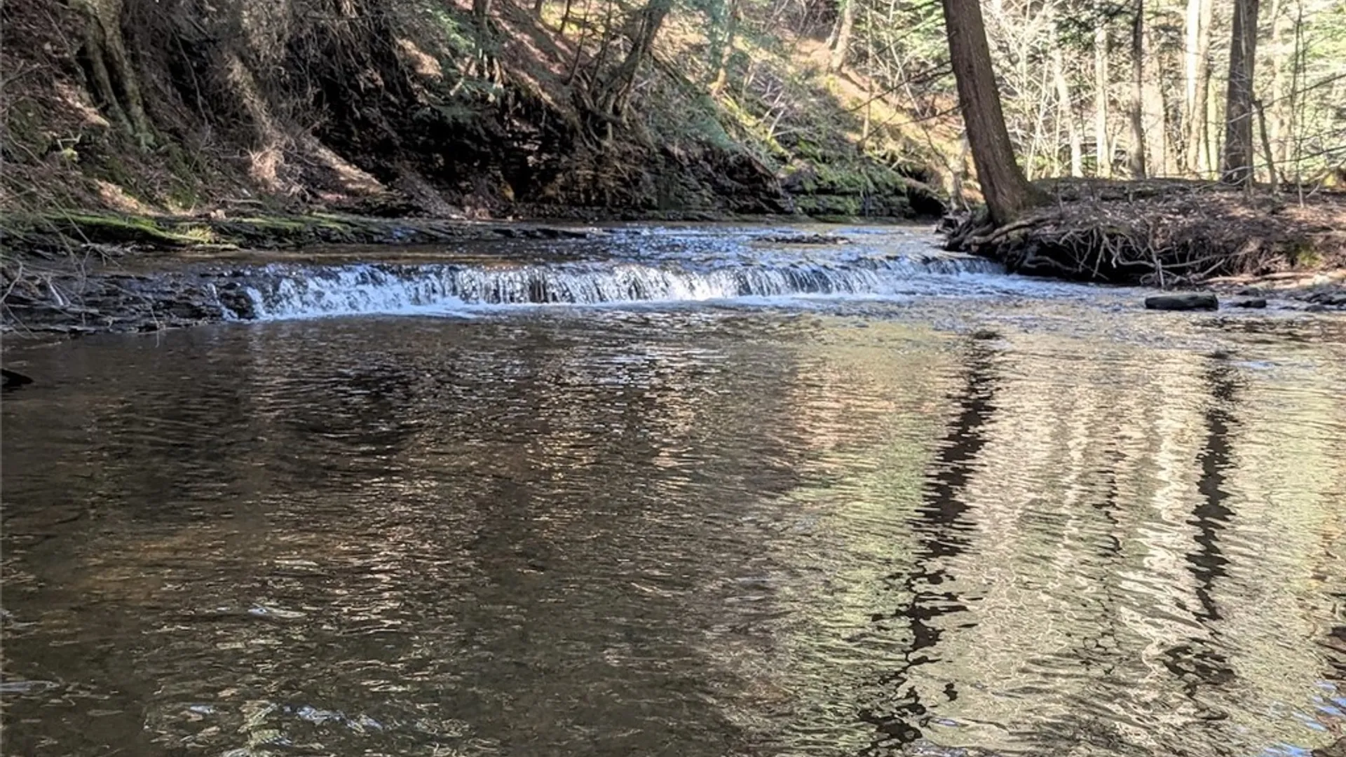 Property at Frost Road, Ossian, NY 14437 21