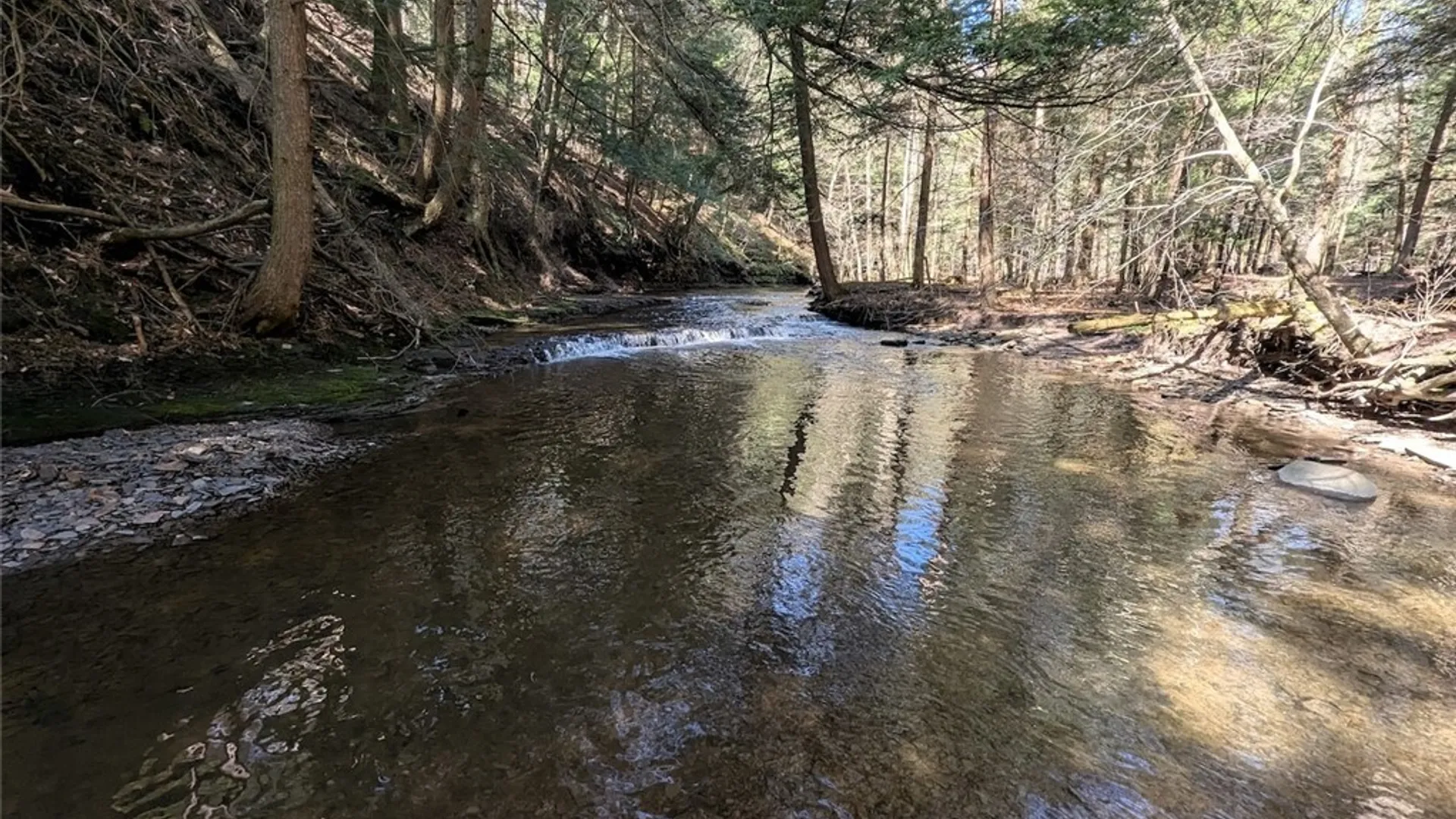 Property at Frost Road, Ossian, NY 14437 22