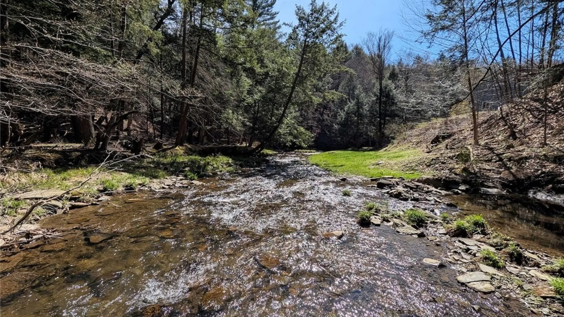 Property at Frost Road, Ossian, NY 14437 23