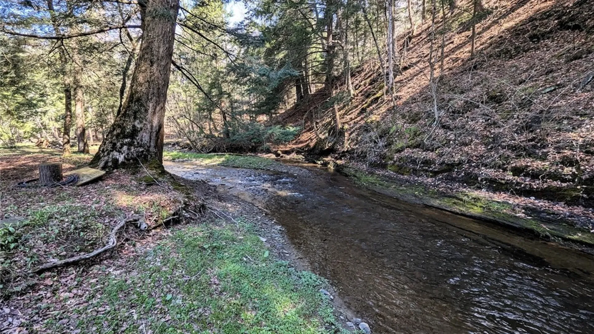 Property at Frost Road, Ossian, NY 14437 24