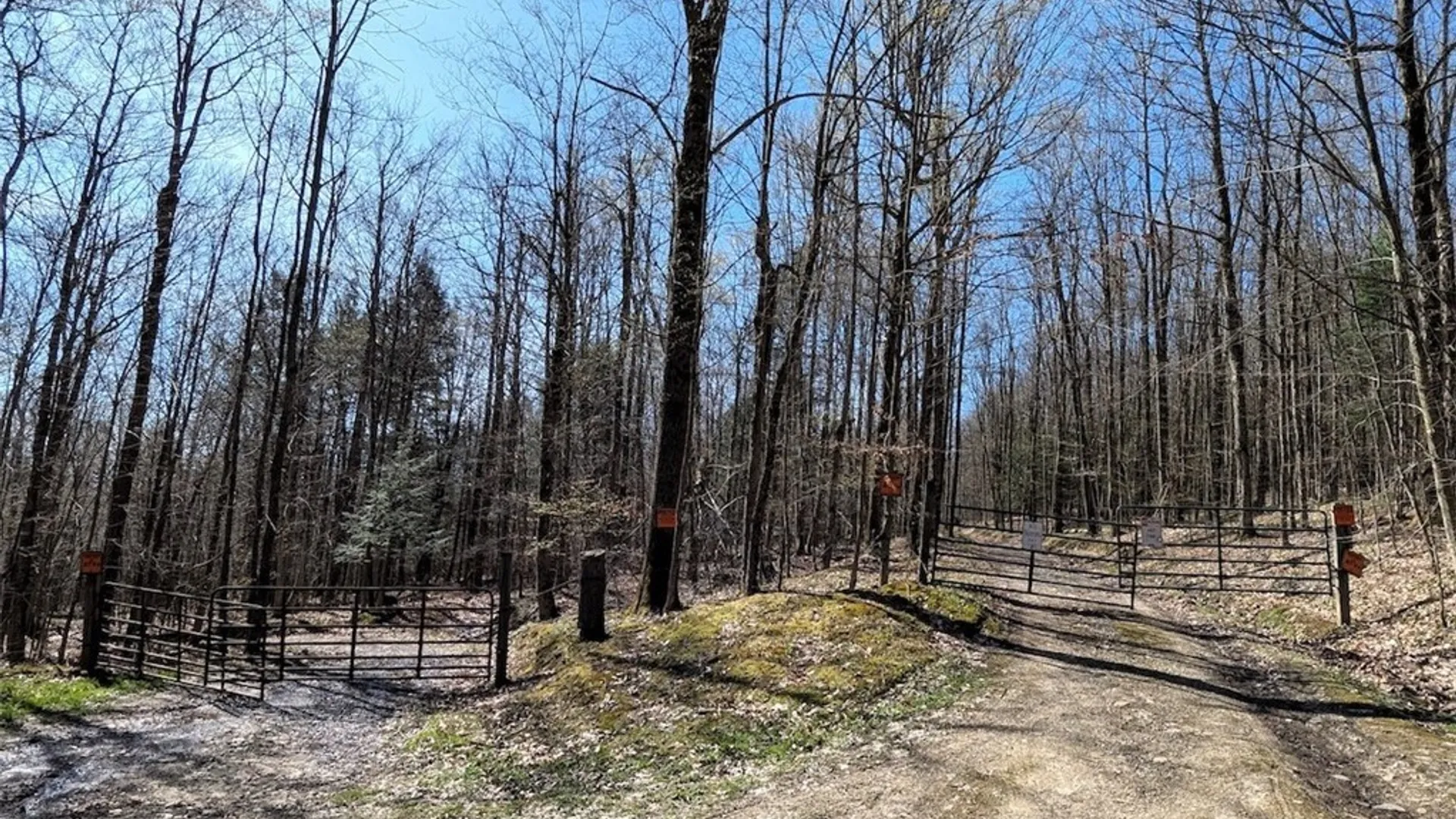 Property at Frost Road, Ossian, NY 14437 35