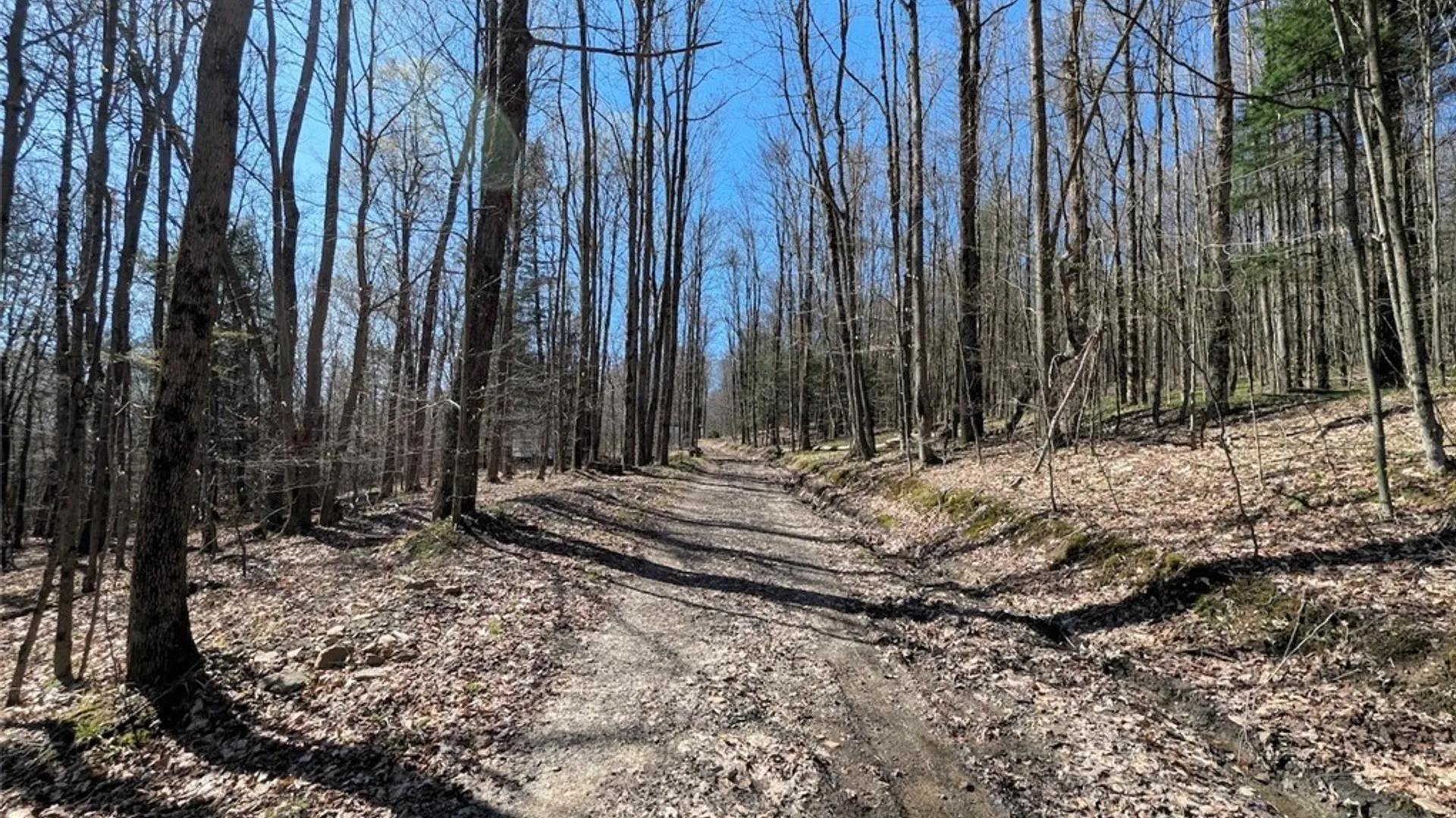 Property at Frost Road, Ossian, NY 14437 36