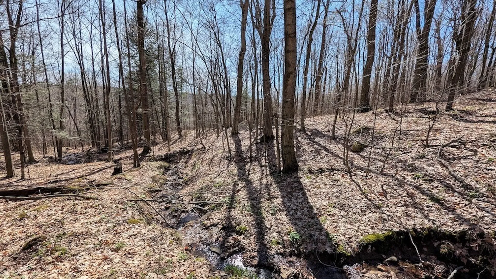 Property at Frost Road, Ossian, NY 14437 37