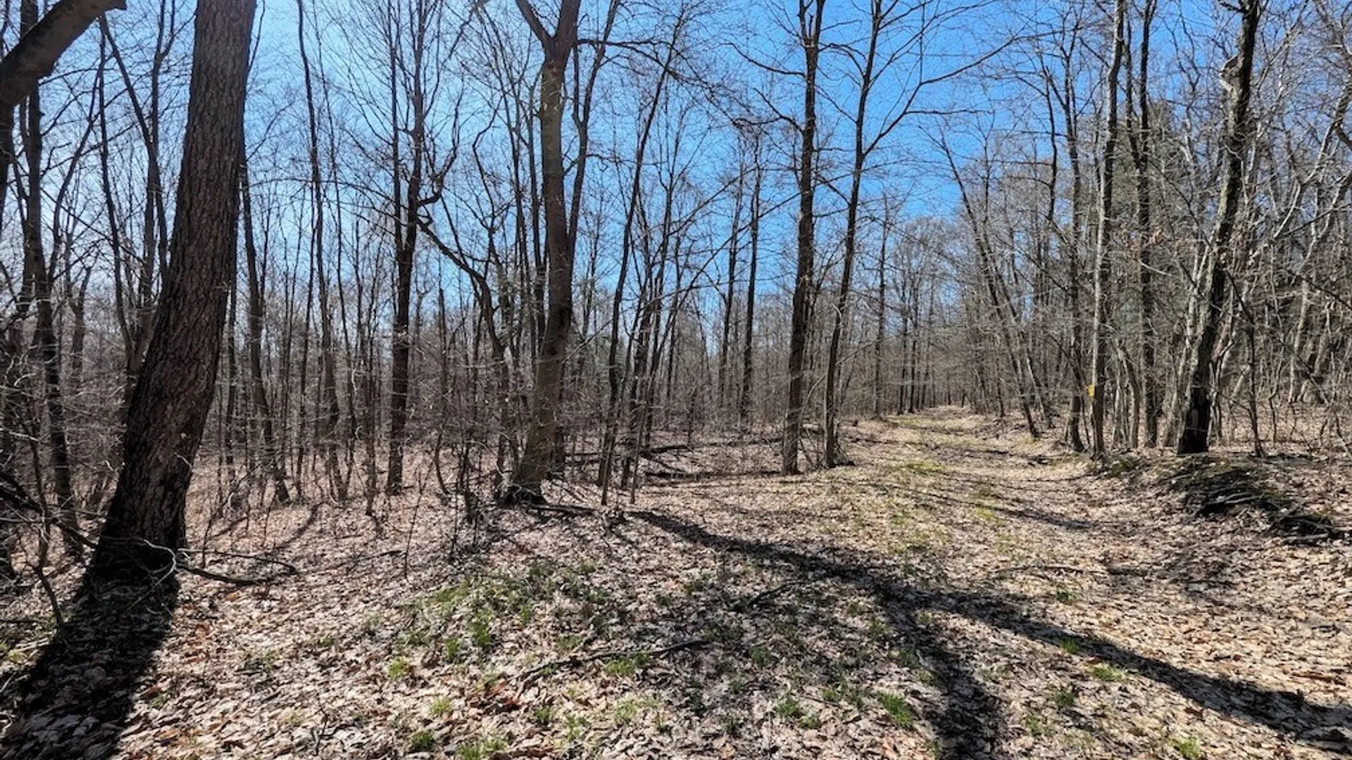 Property at Frost Road, Ossian, NY 14437 39