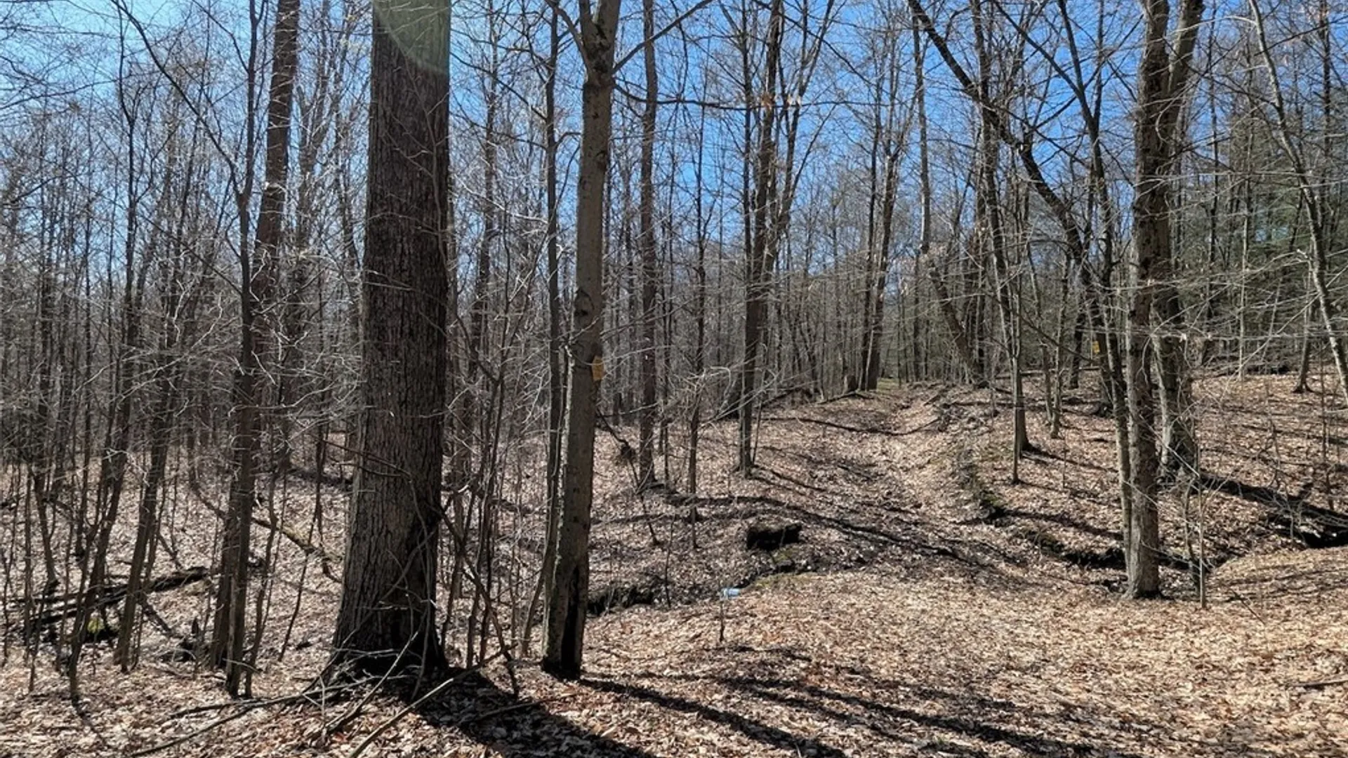 Property at Frost Road, Ossian, NY 14437 40