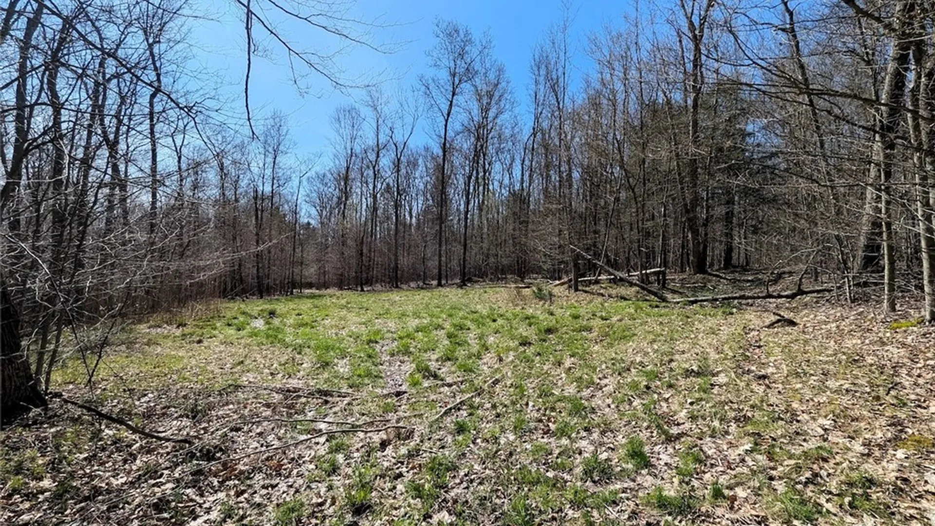 Property at Frost Road, Ossian, NY 14437 42