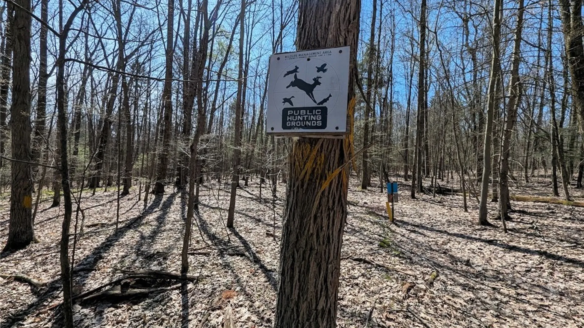 Property at Frost Road, Ossian, NY 14437 44