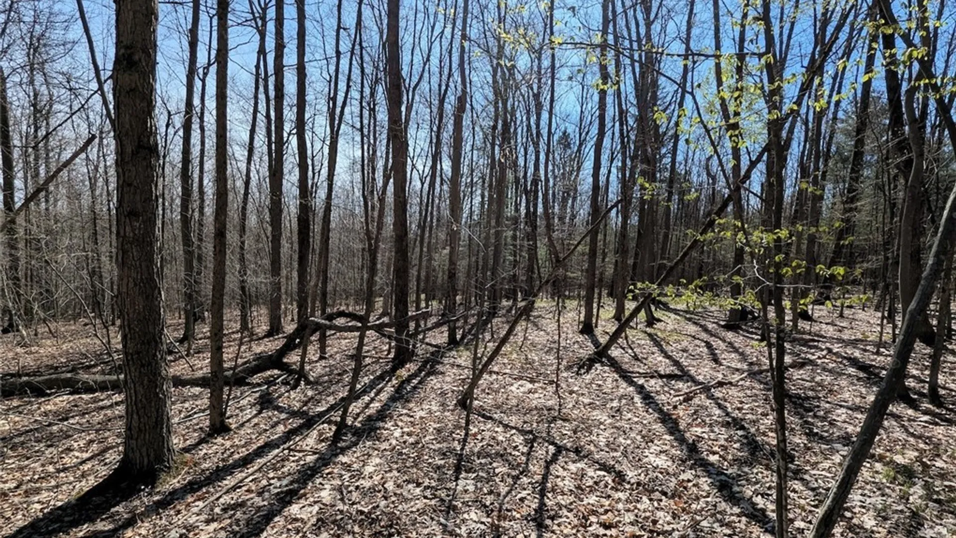 Property at Frost Road, Ossian, NY 14437 45