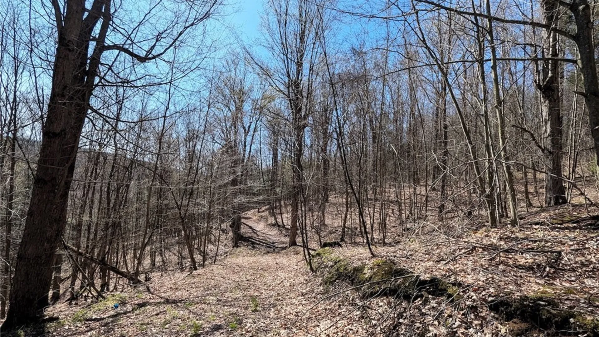 Property at Frost Road, Ossian, NY 14437 46