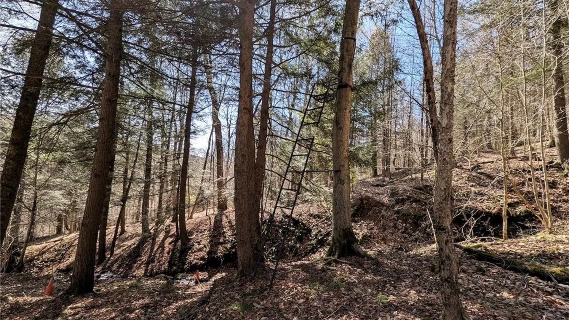 Property at Frost Road, Ossian, NY 14437 47