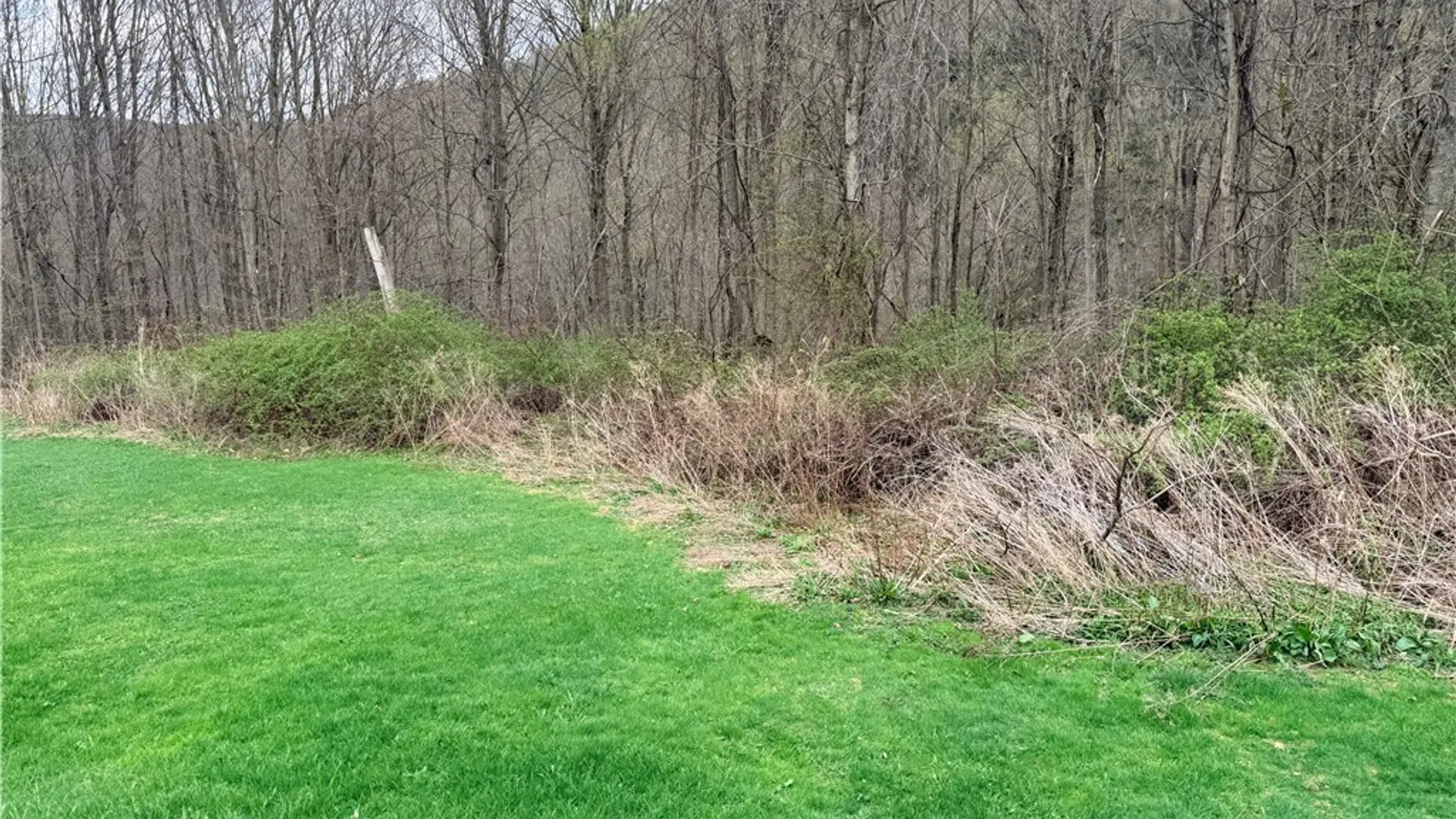 Property at 2120 Blodgett Mills Road, Cortlandville, NY 13045 19