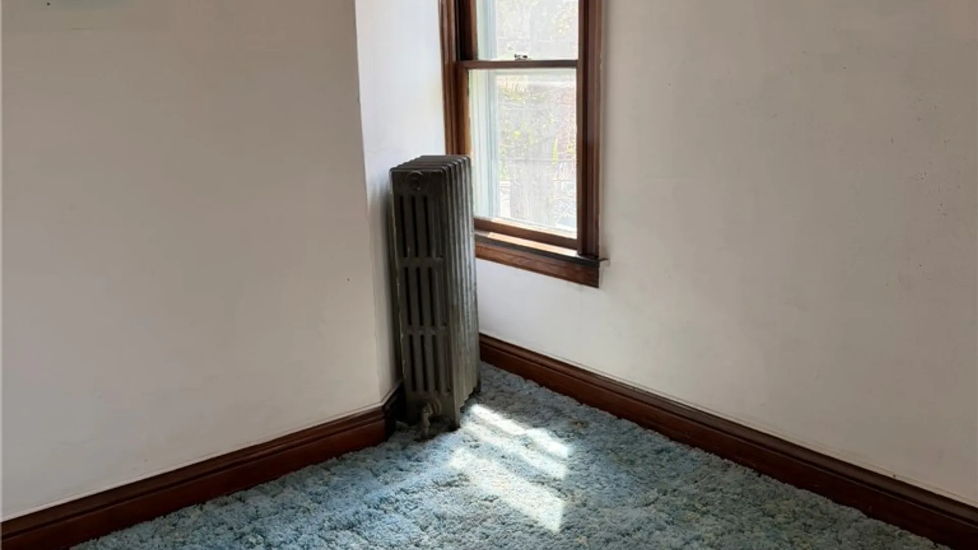 Property at 16 Maple Street, Avon, NY 14414 17