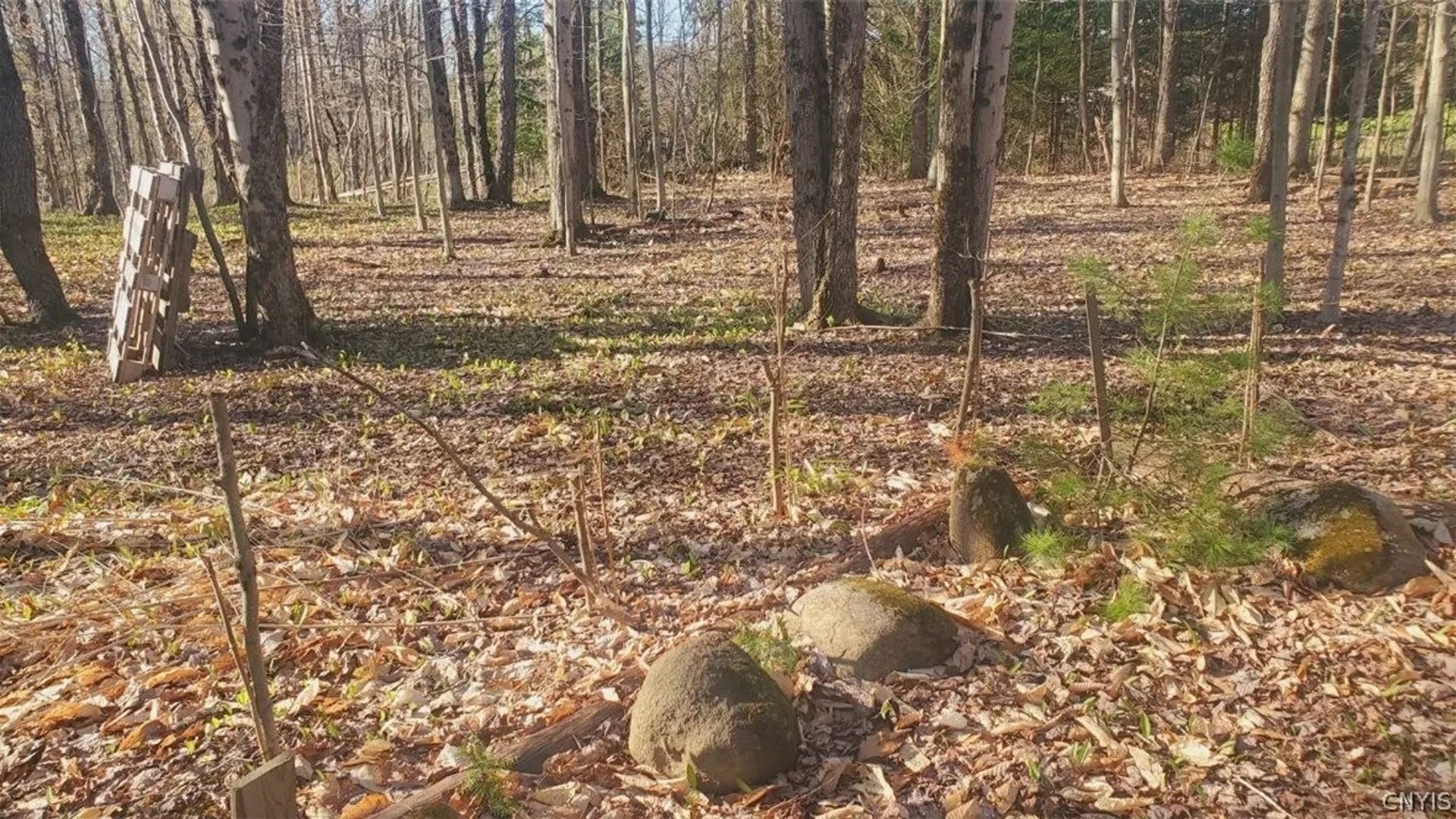 Property at Walker road, Deerfield, NY 13502 11