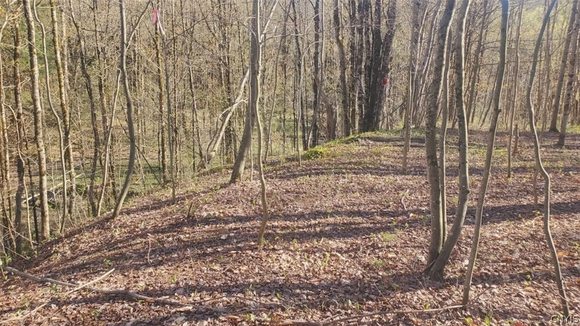 Property at Walker road, Deerfield, NY 13502 13