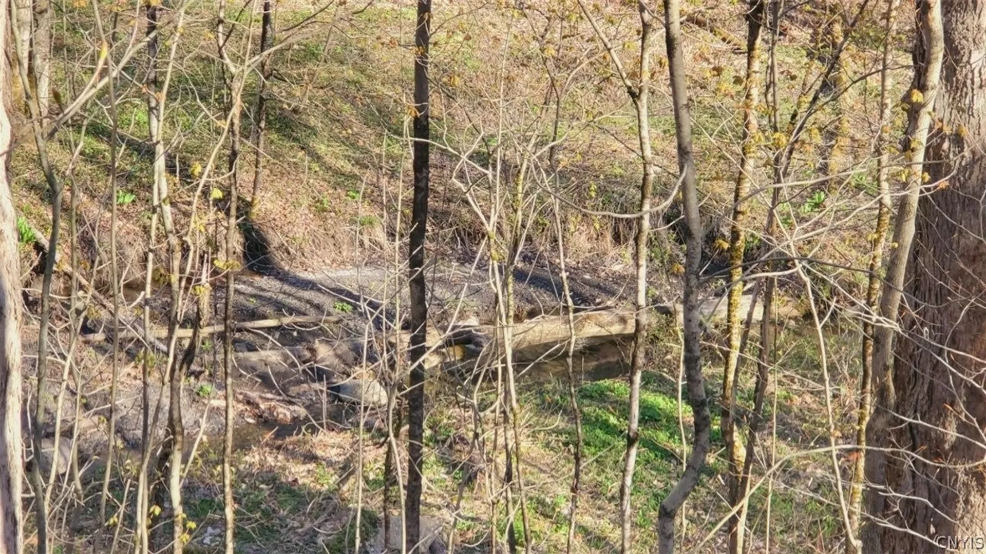 Property at Walker road, Deerfield, NY 13502 14