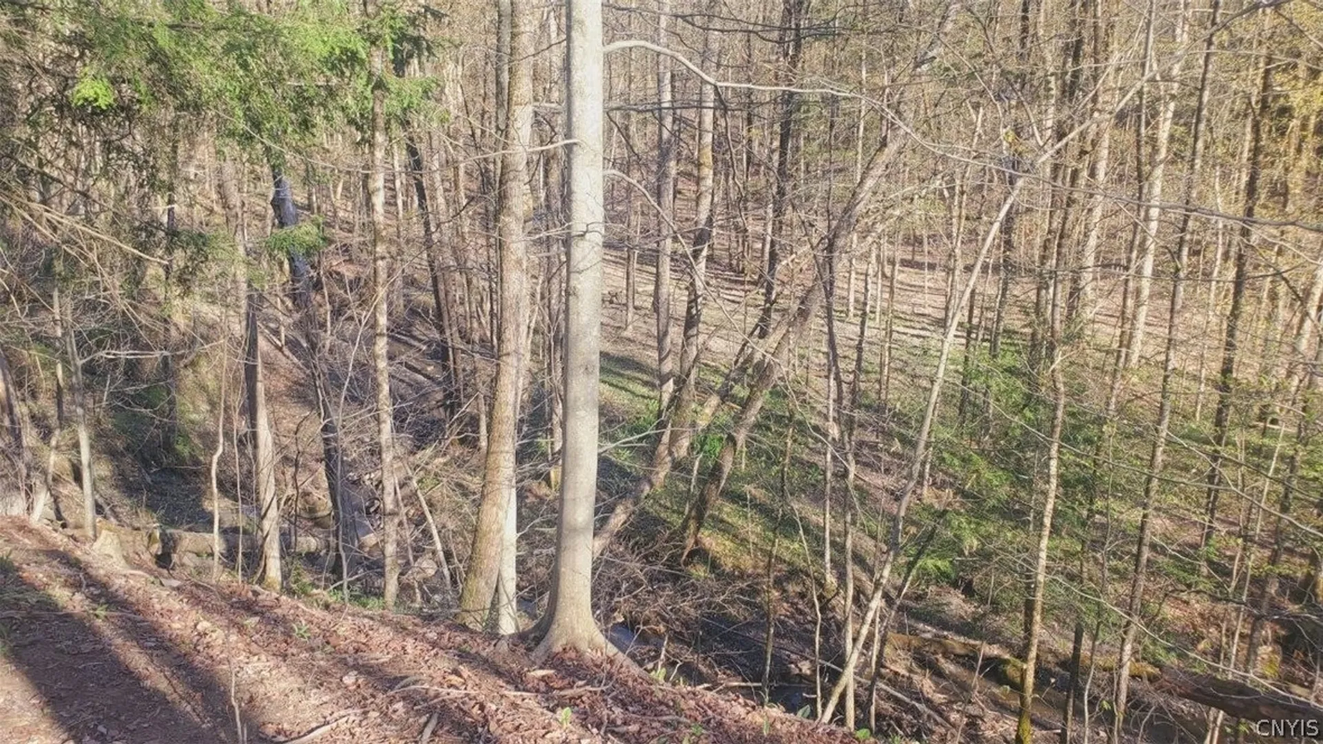 Property at Walker road, Deerfield, NY 13502 15