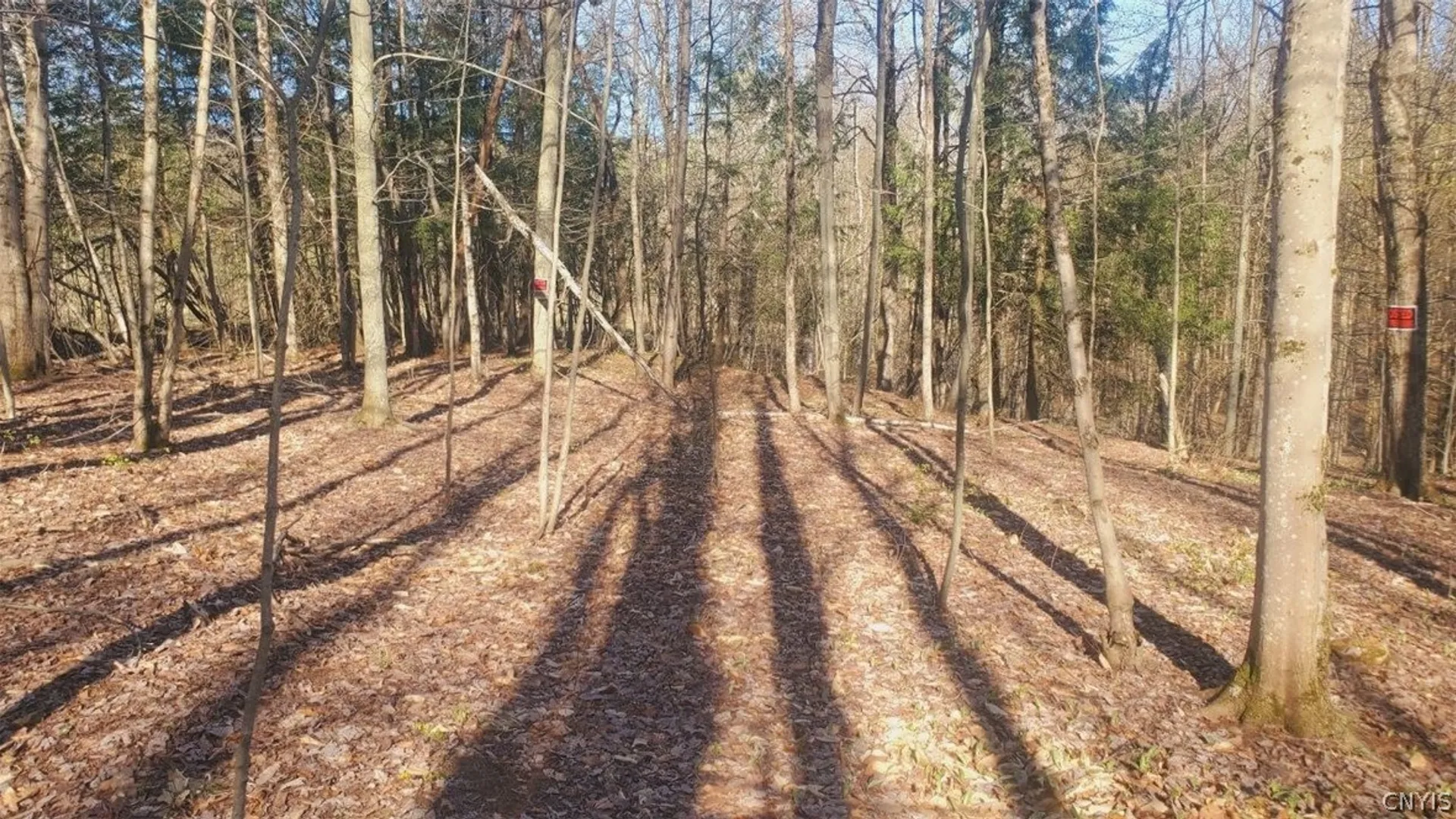 Property at Walker road, Deerfield, NY 13502 16