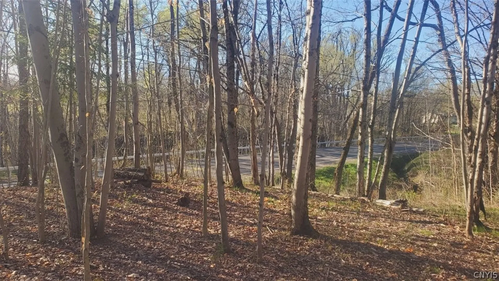 Property at Walker road, Deerfield, NY 13502 19