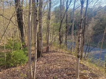 Property at Walker road, Deerfield, NY 13502