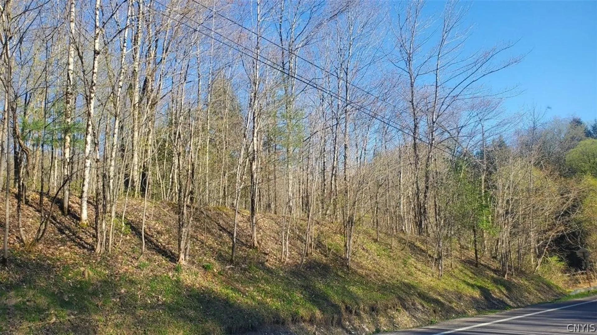 Property at Walker road, Deerfield, NY 13502 2