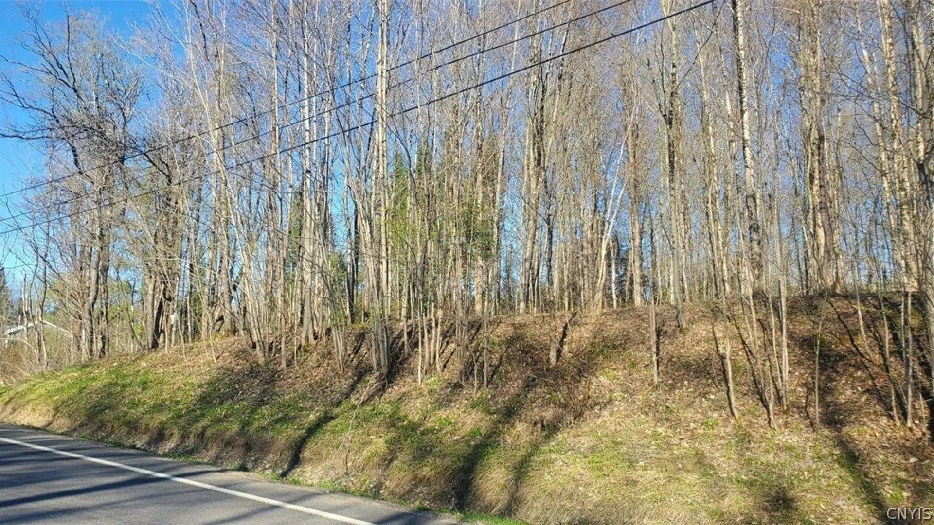 Property at Walker road, Deerfield, NY 13502 3