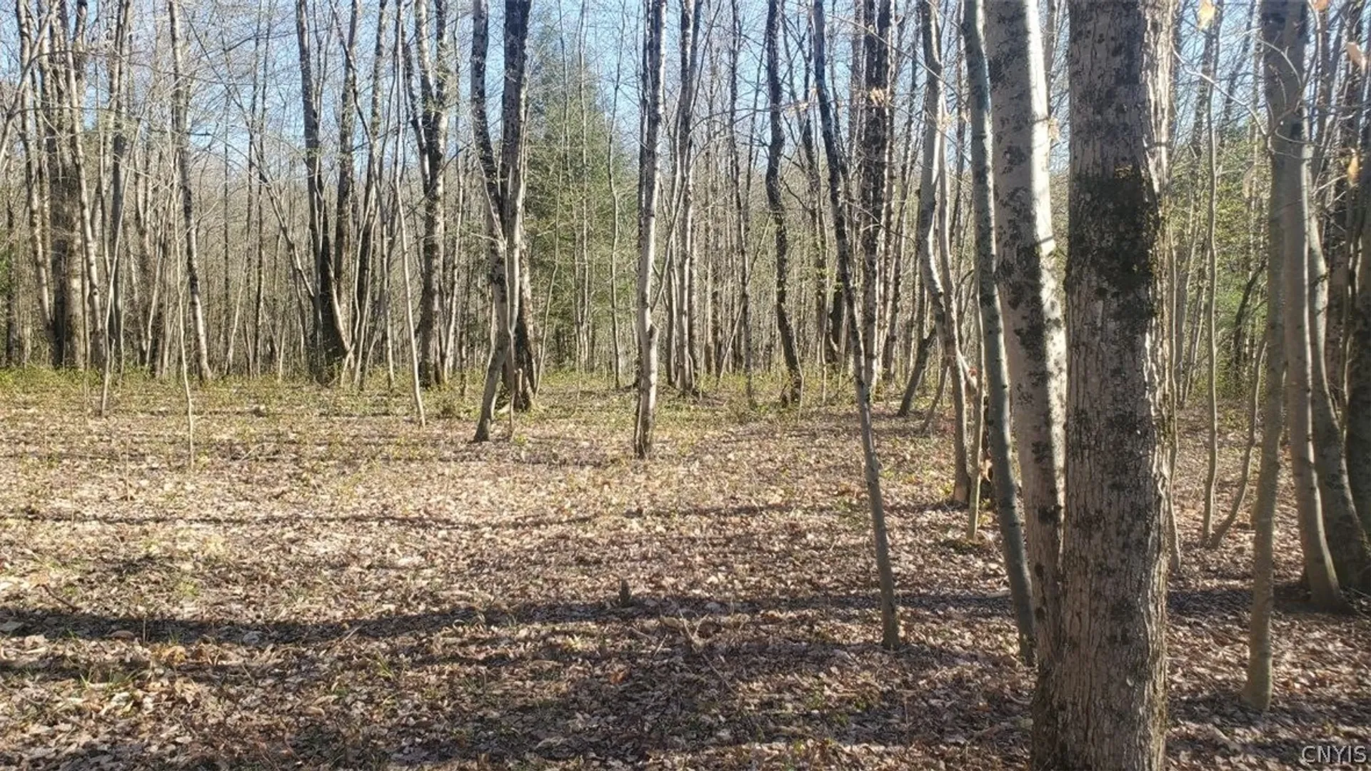 Property at Walker road, Deerfield, NY 13502 4