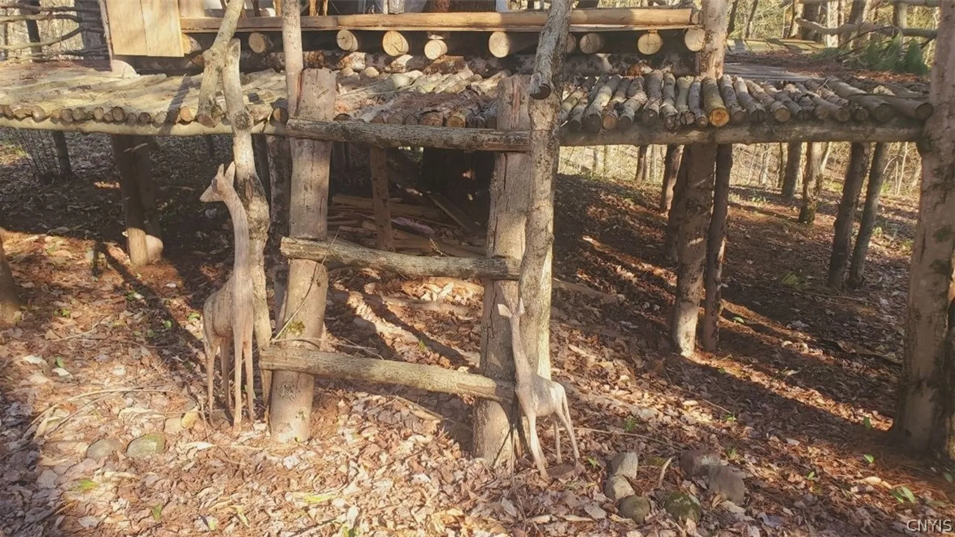 Property at Walker road, Deerfield, NY 13502 8