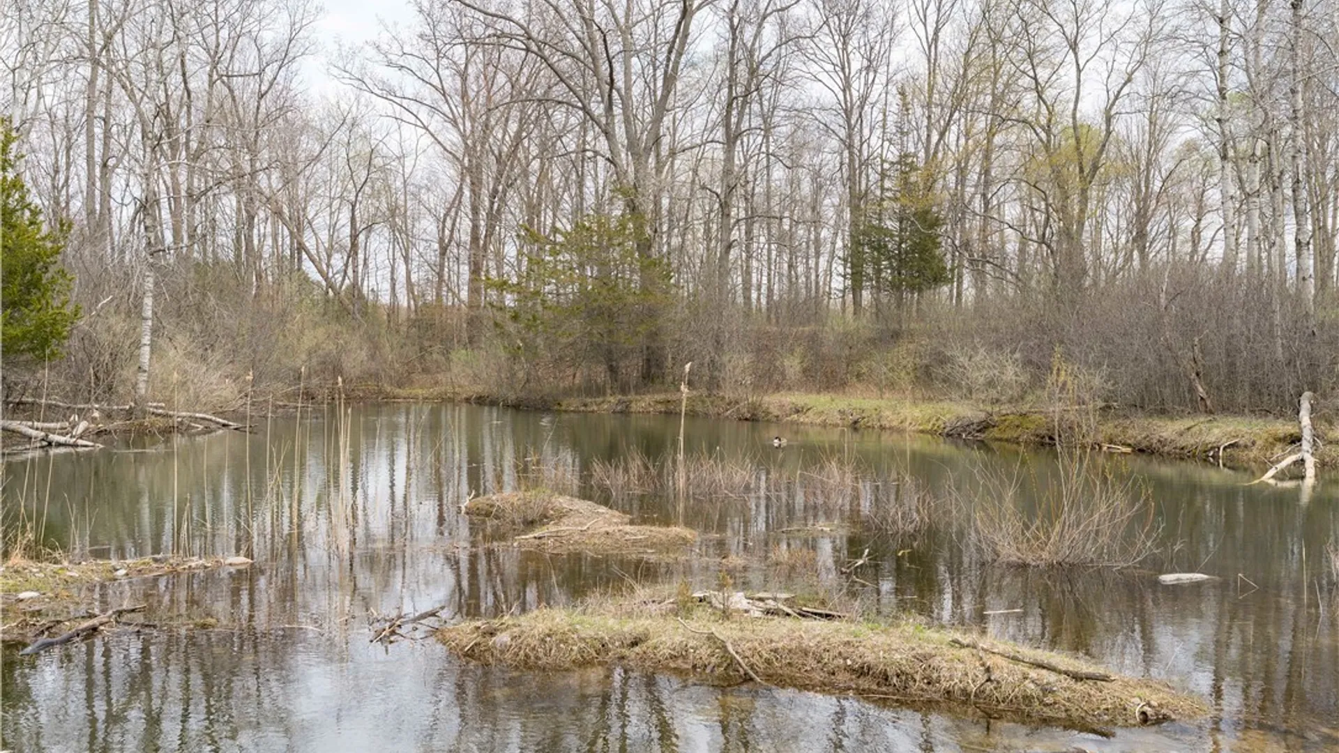 Property at 1276 County Route 121, Ellisburg, NY 13661 28