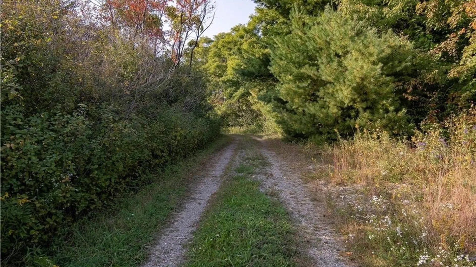 Property at 7120 Parker Road, Chautauqua, NY 14757 17