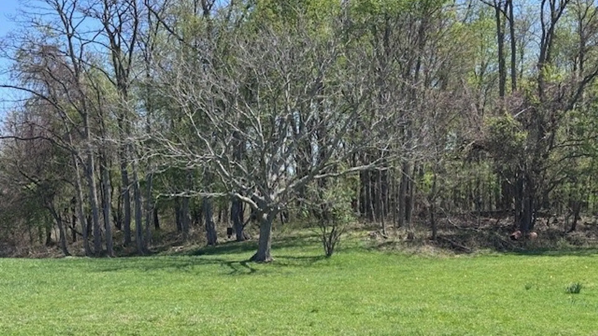 Property at 5553 Martin Road, Portland, NY 14063 10