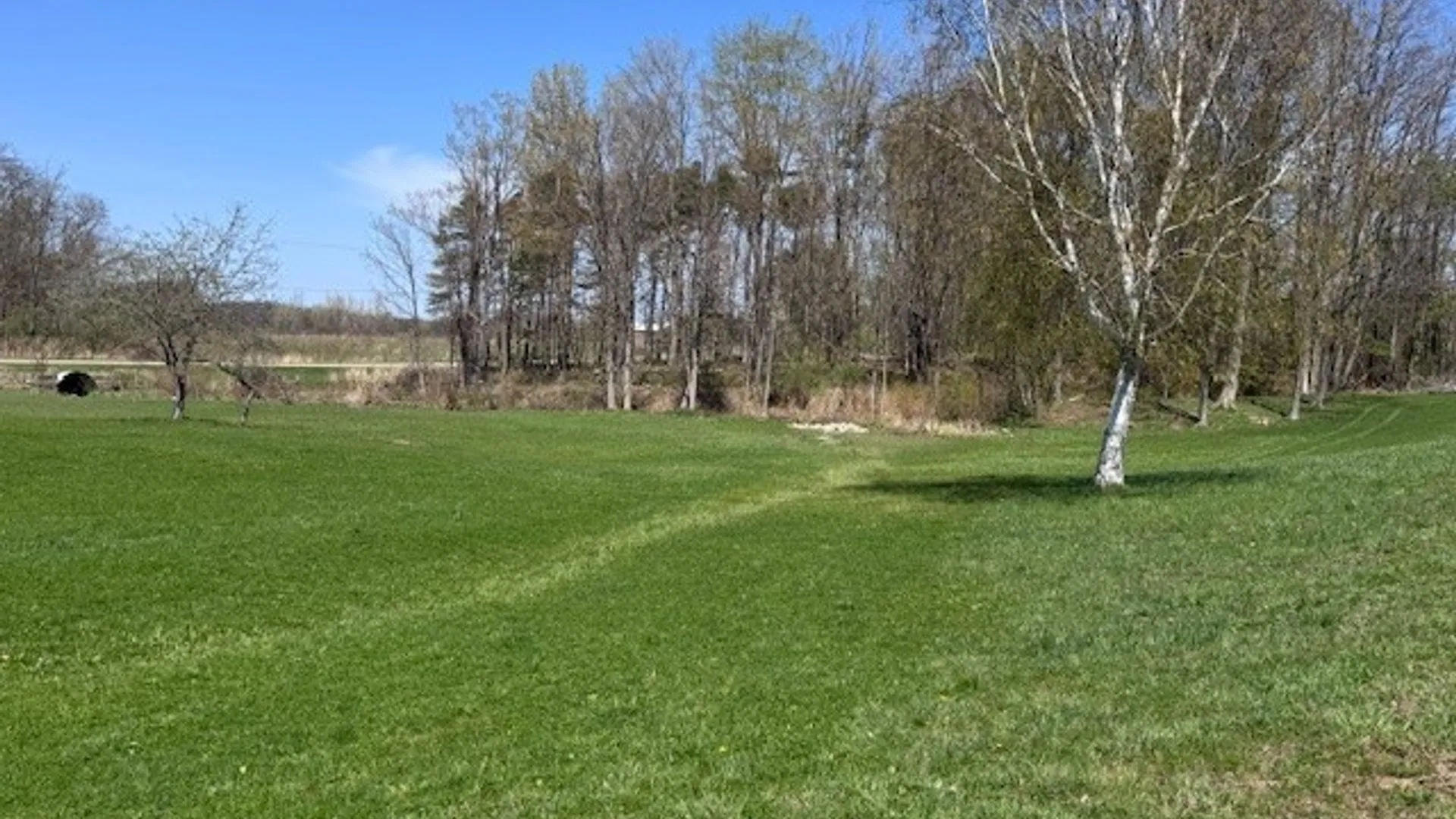 Property at 5553 Martin Road, Portland, NY 14063 11