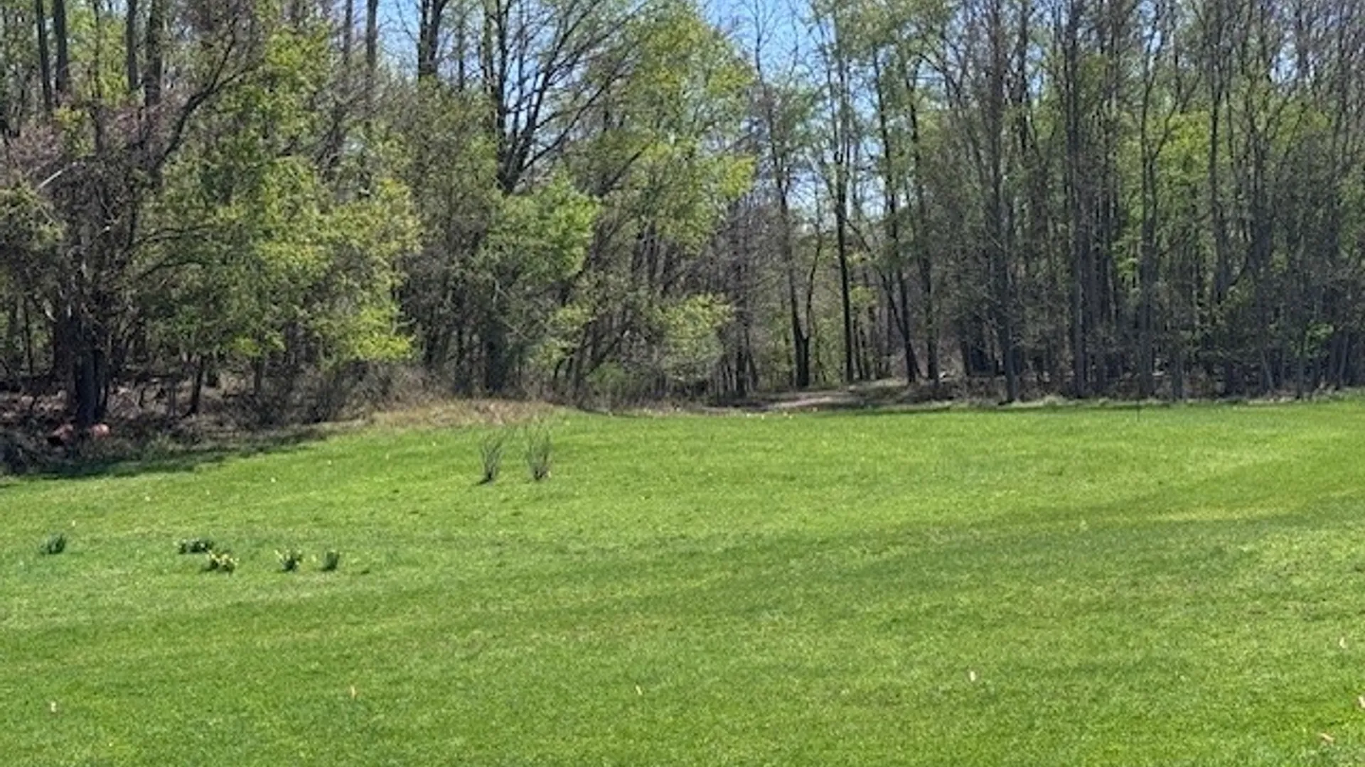 Property at 5553 Martin Road, Portland, NY 14063 12