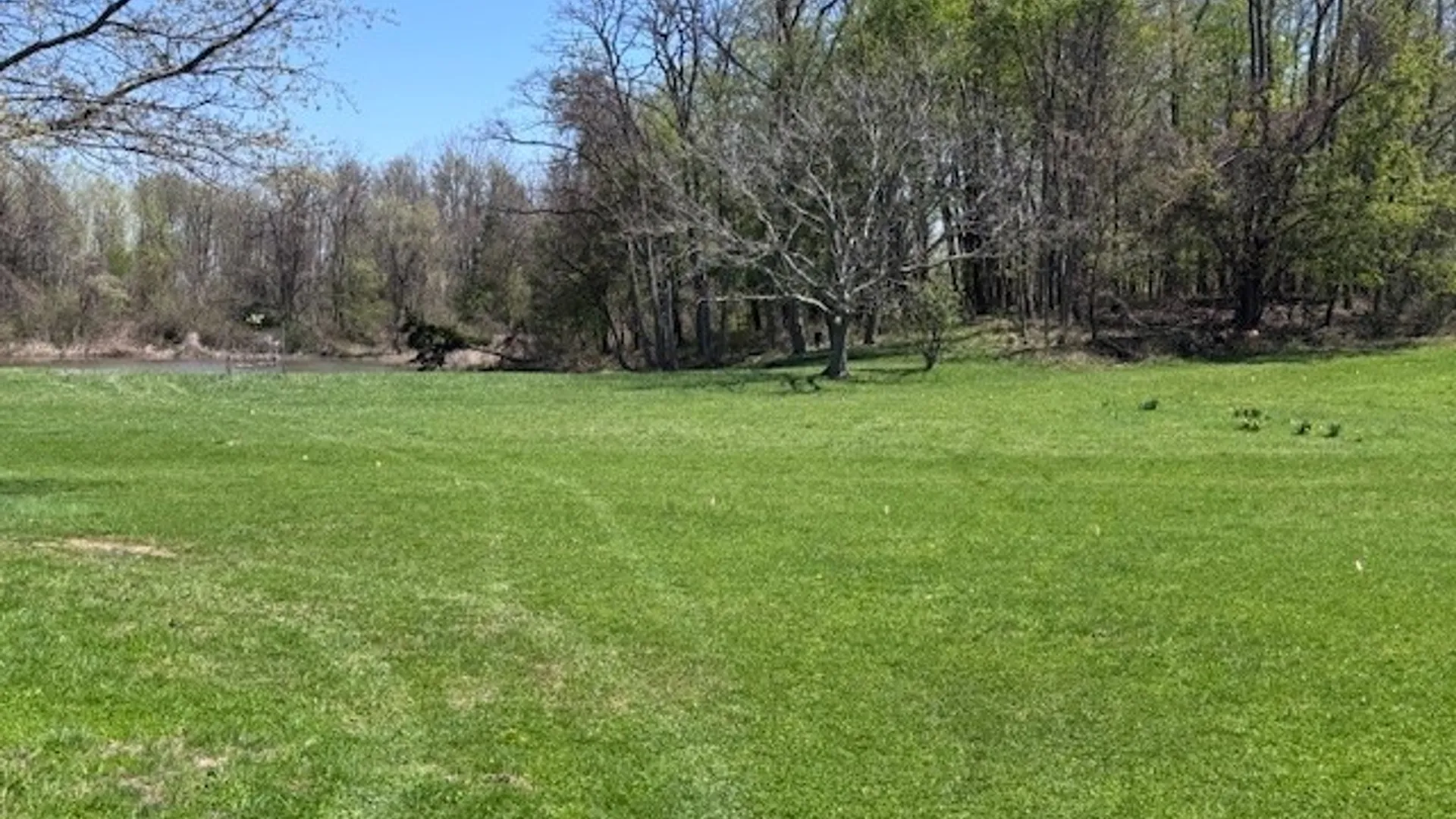 Property at 5553 Martin Road, Portland, NY 14063 13