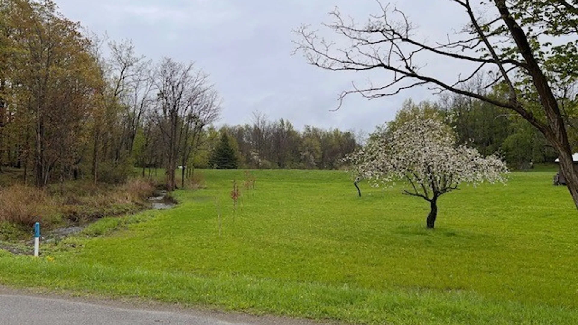 Property at 5553 Martin Road, Portland, NY 14063 28