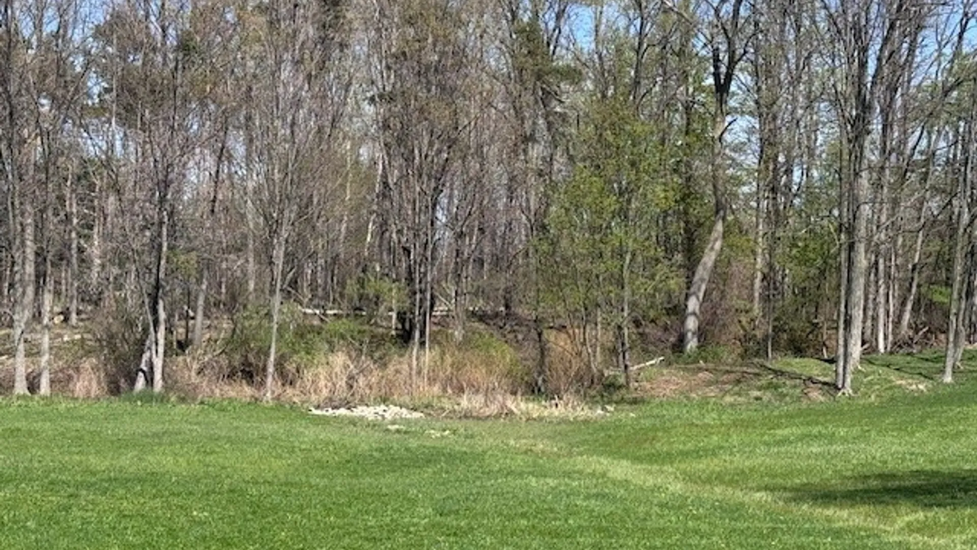 Property at 5553 Martin Road, Portland, NY 14063 9
