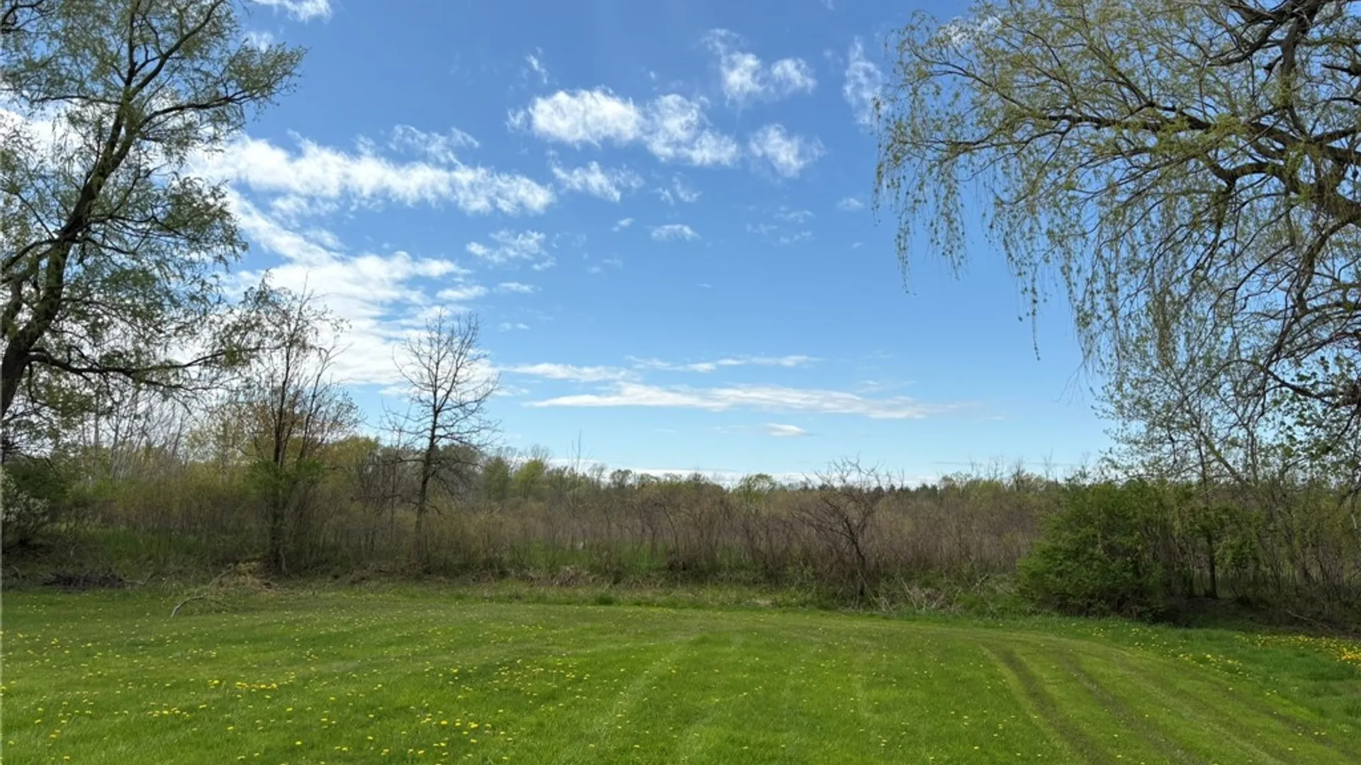 Property at 51 Palmer Road, Riga, NY 14428 3