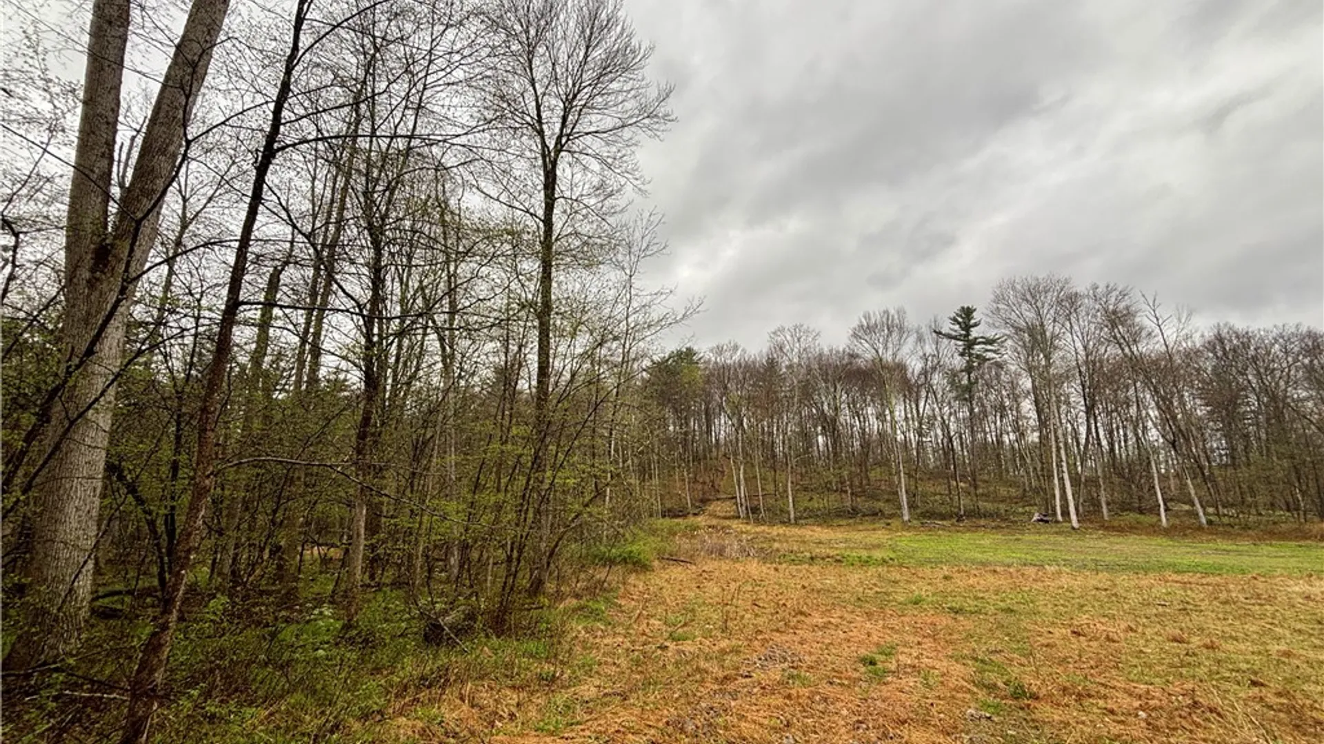 Property at 2093 Scott Road, Erwin, NY 14858 21