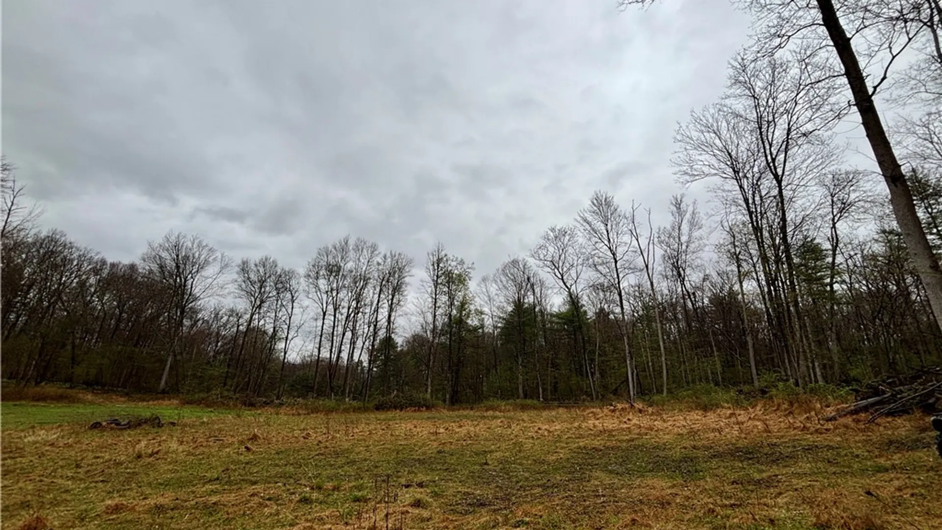 Property at 2093 Scott Road, Erwin, NY 14858 23
