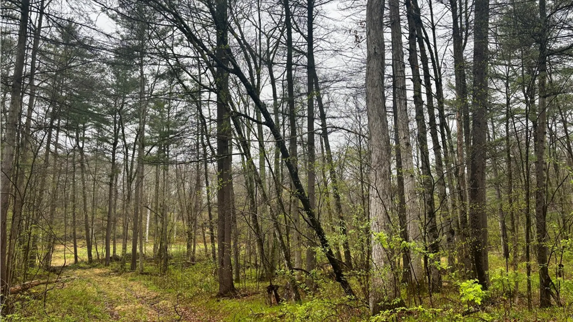Property at 2093 Scott Road, Erwin, NY 14858 29