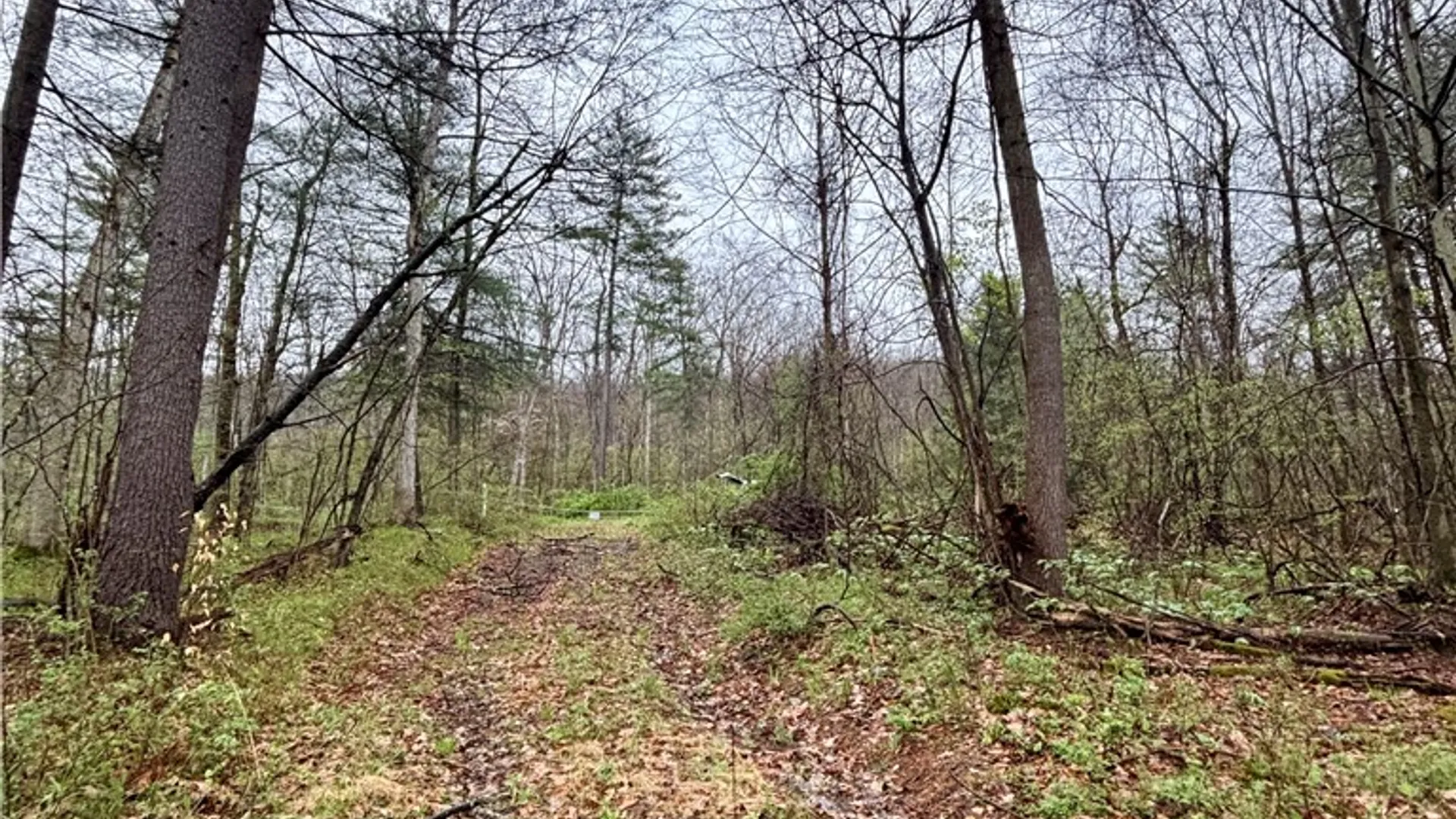 Property at 2093 Scott Road, Erwin, NY 14858 3