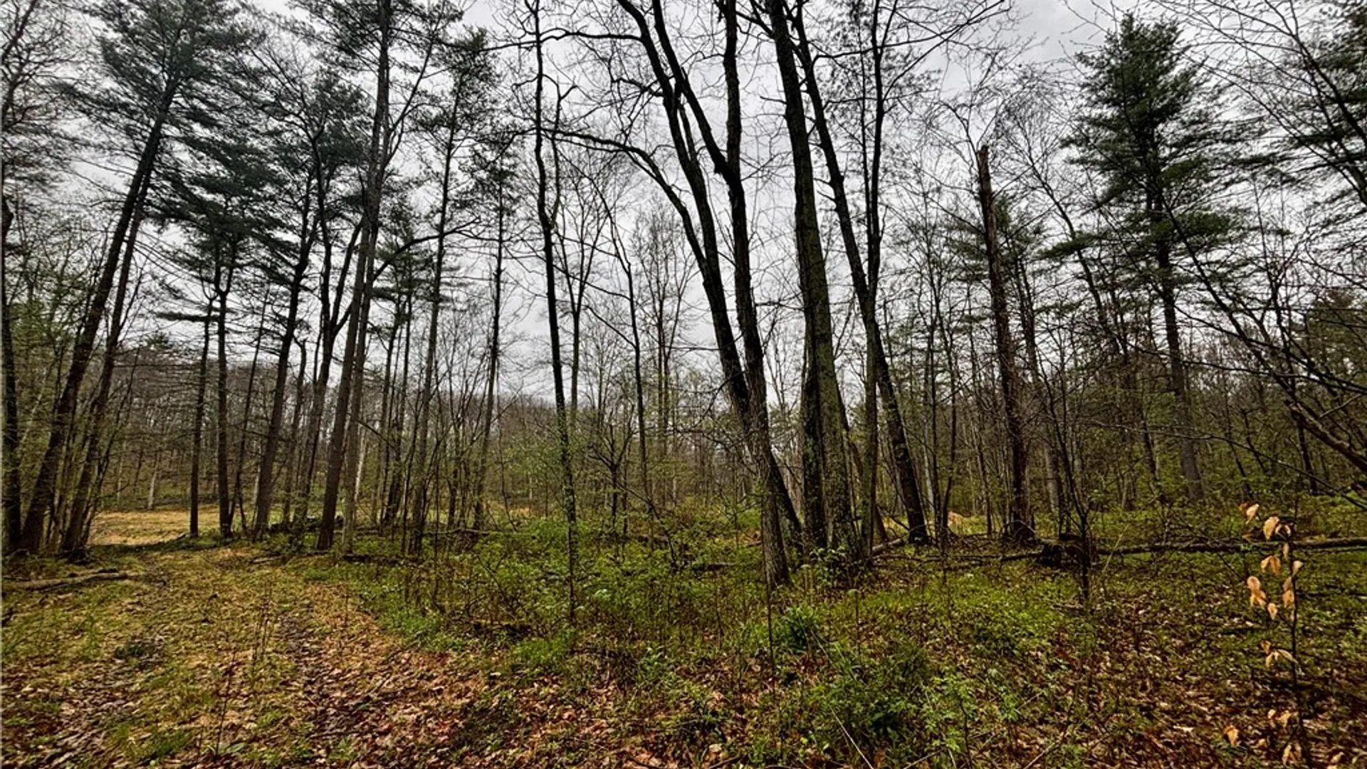 Property at 2093 Scott Road, Erwin, NY 14858 30