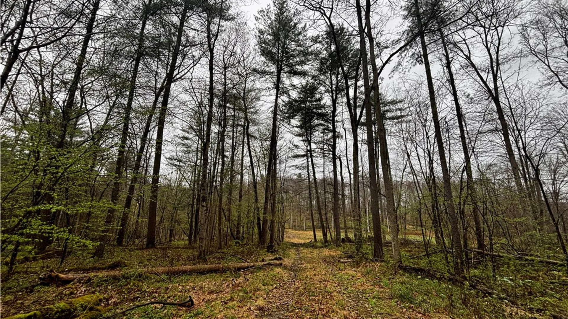 Property at 2093 Scott Road, Erwin, NY 14858 31