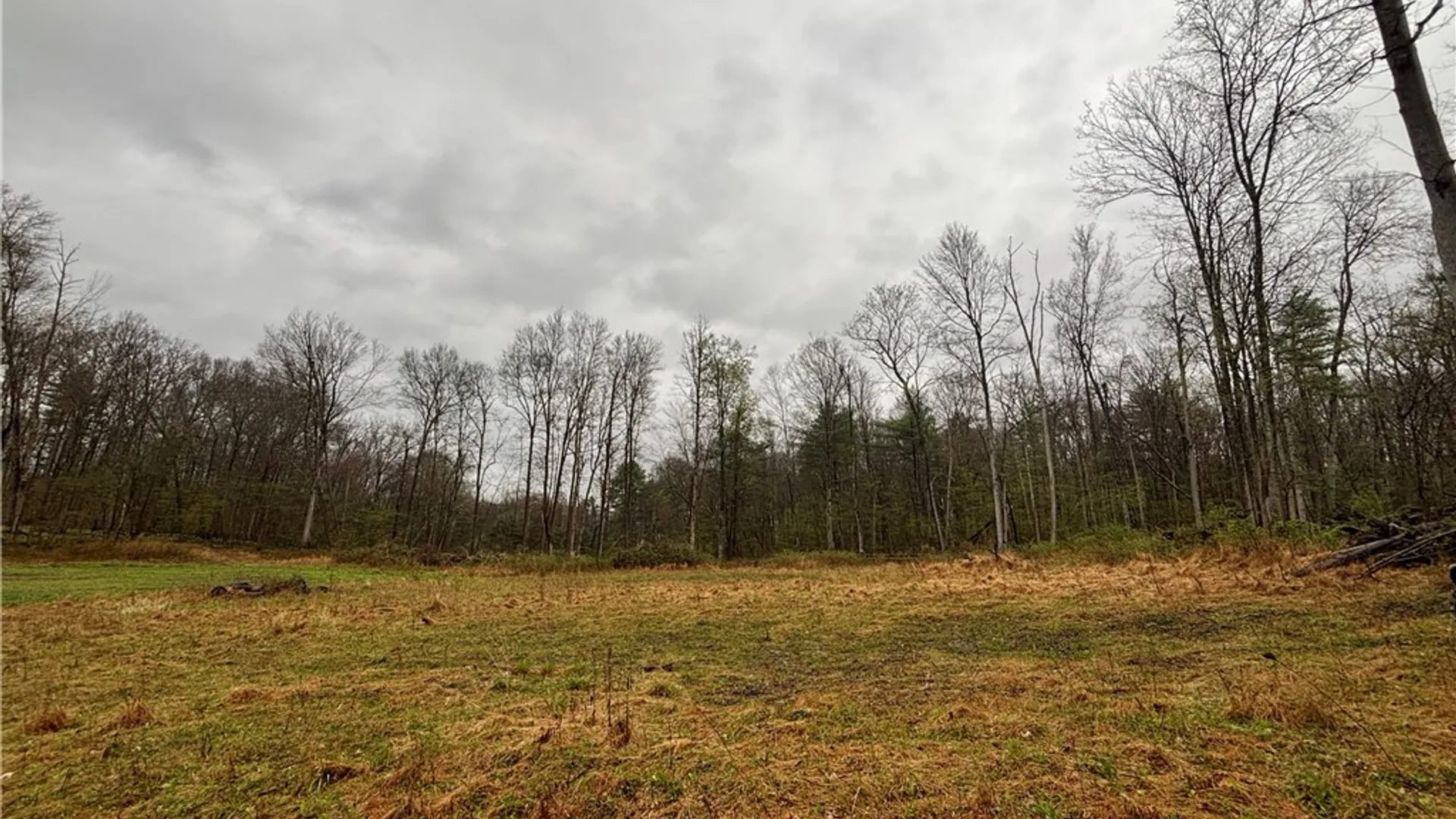 Property at 2093 Scott Road, Erwin, NY 14858 33
