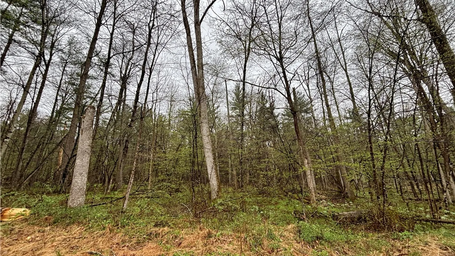 Property at 2093 Scott Road, Erwin, NY 14858 34