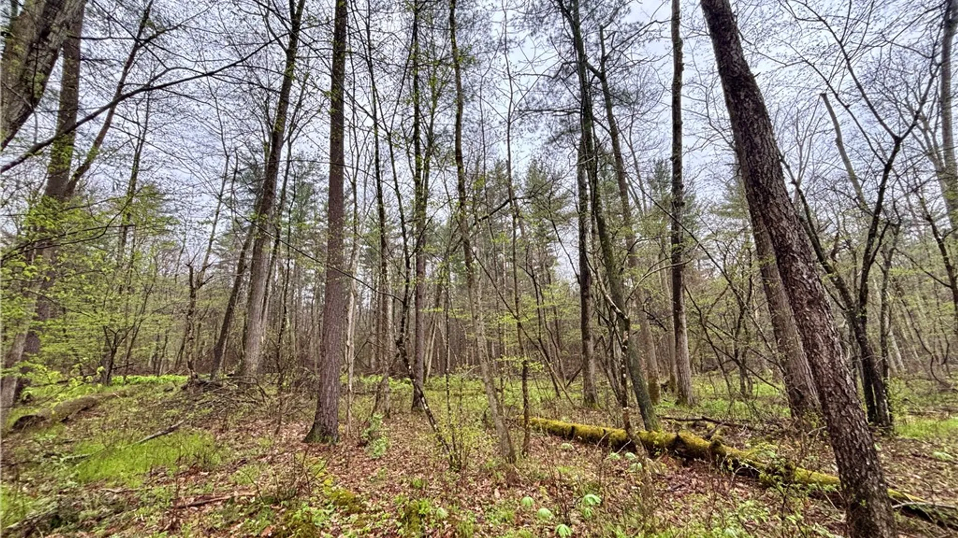Property at 2093 Scott Road, Erwin, NY 14858 35