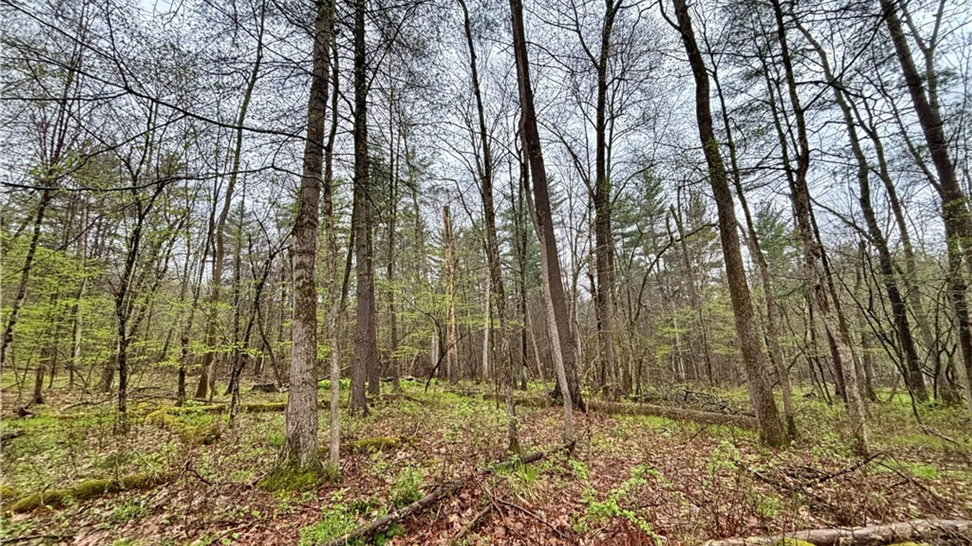 Property at 2093 Scott Road, Erwin, NY 14858 36