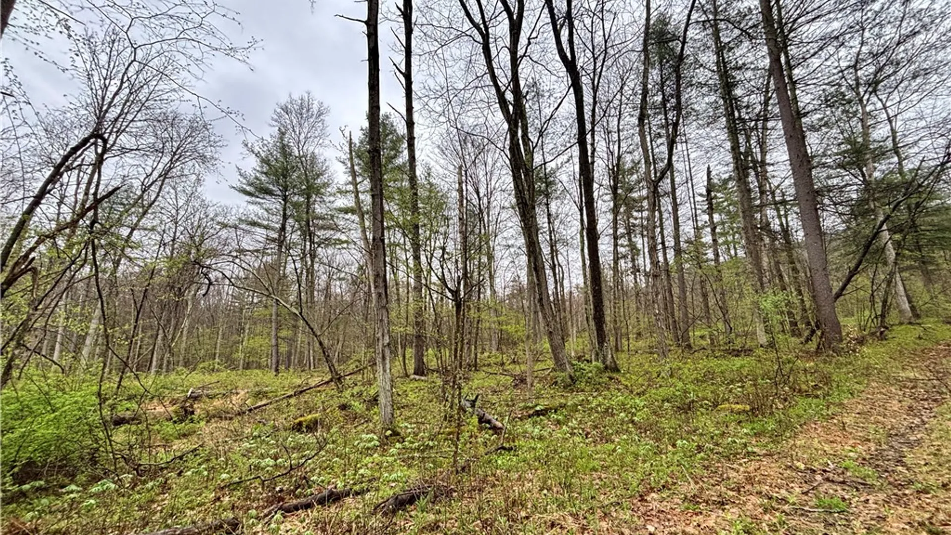 Property at 2093 Scott Road, Erwin, NY 14858 37