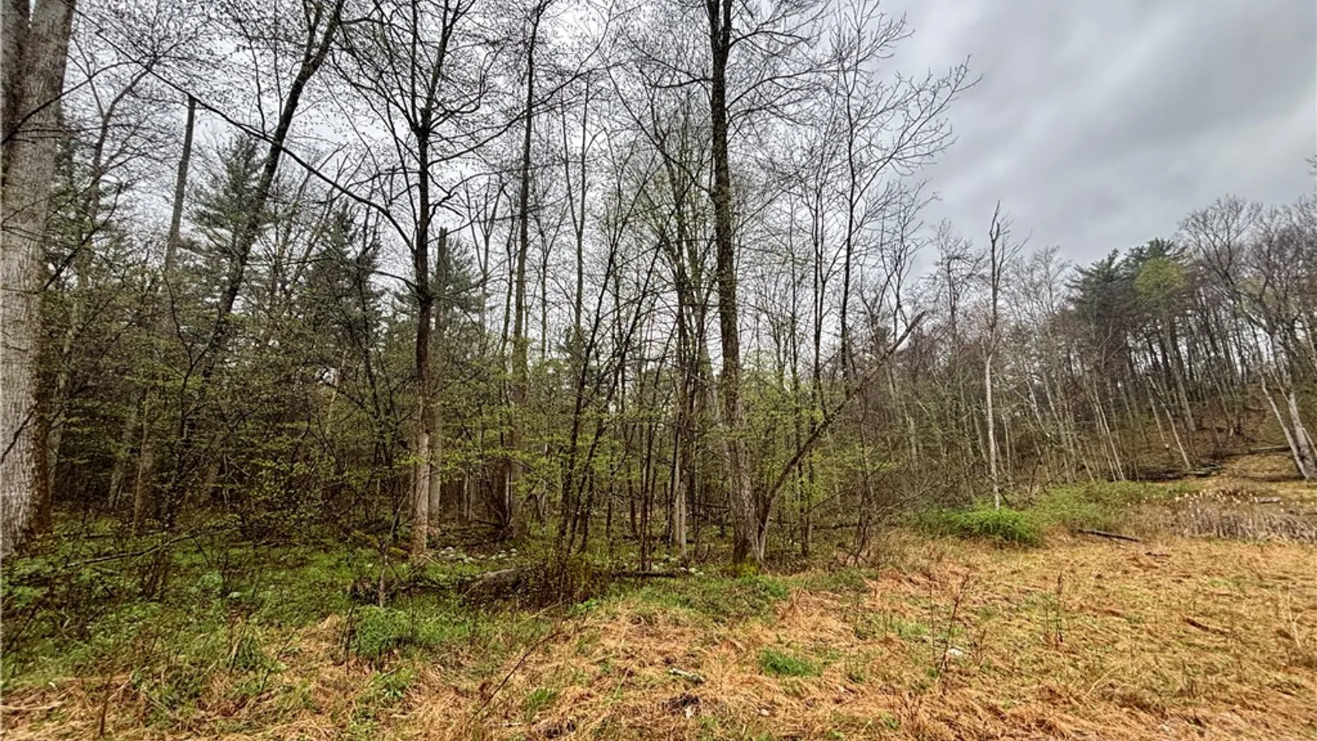 Property at 2093 Scott Road, Erwin, NY 14858 8