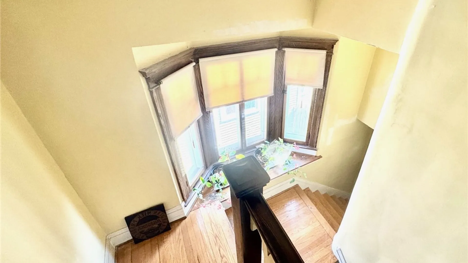 Property at 44 Colby Street, Rochester, NY 14610 11