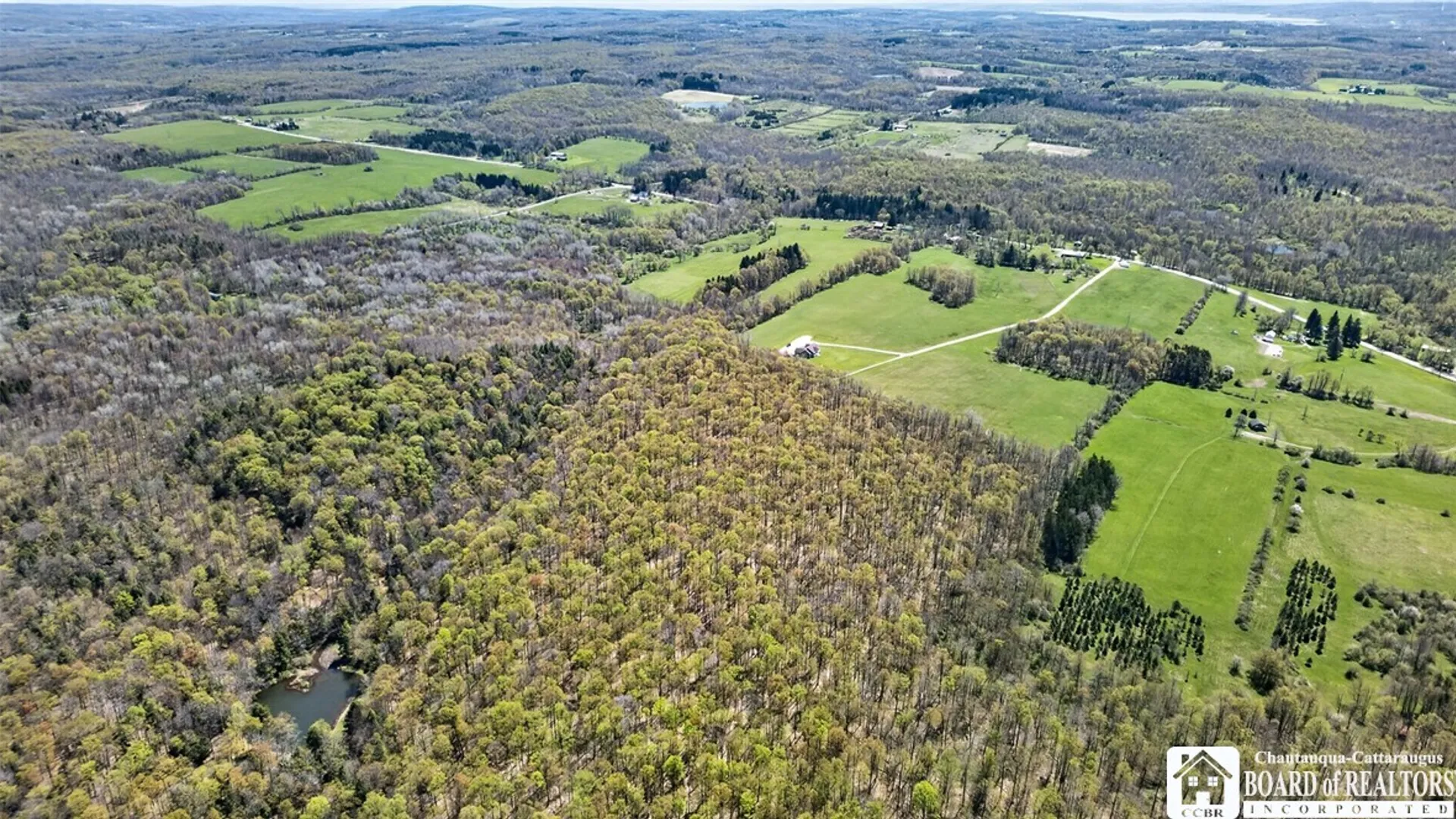 Property at 5328 Centralia Hartfield Road, Stockton, NY 14728 13